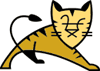 Apache Tomcat Apache Tomcat