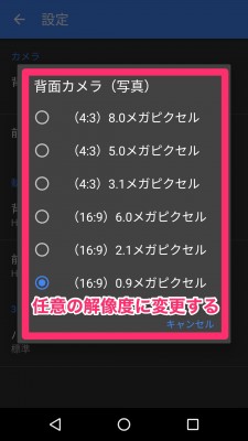 任意のアスペクト比と解像度を選択することができる